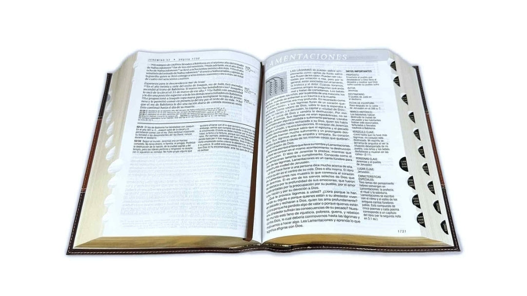 Biblia de Estudio del Diario Vivir Letra Grande Nueva Traducción Viviente NTV - sentipiel café con índice