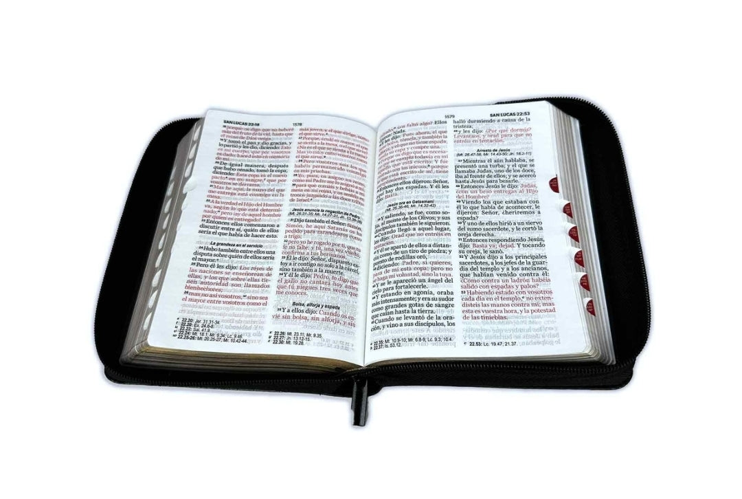 Biblia Espada con Cierre Compacta 11 puntos RV1960 imit gris y negro con índice - Hebreos 4:12