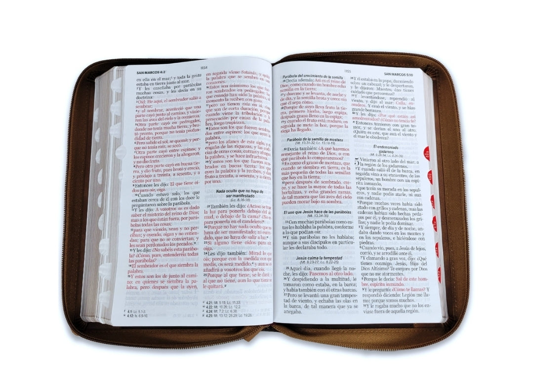 Biblia con Cierre Letra Grande 12 puntos RV1960 imit piel café ichtus con índice
