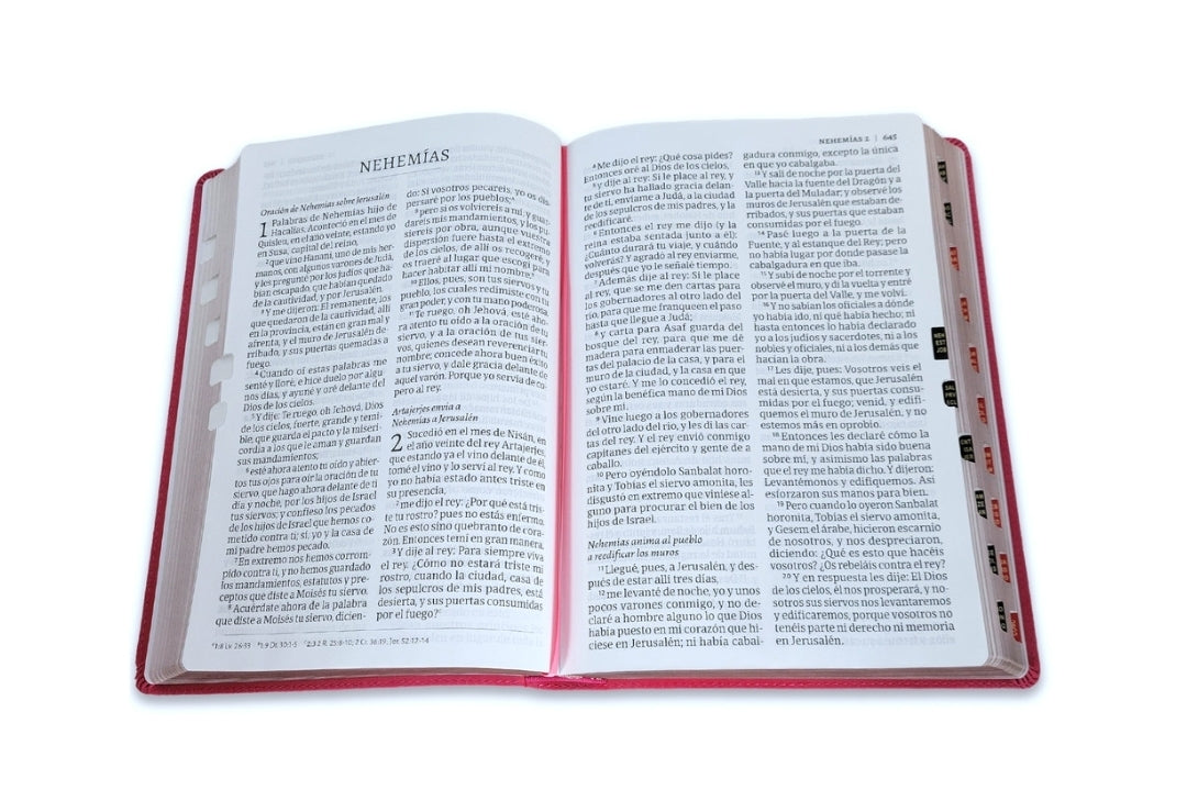 Biblia Letra Súper Gigante RV1960 imit. piel rosa floral con índice