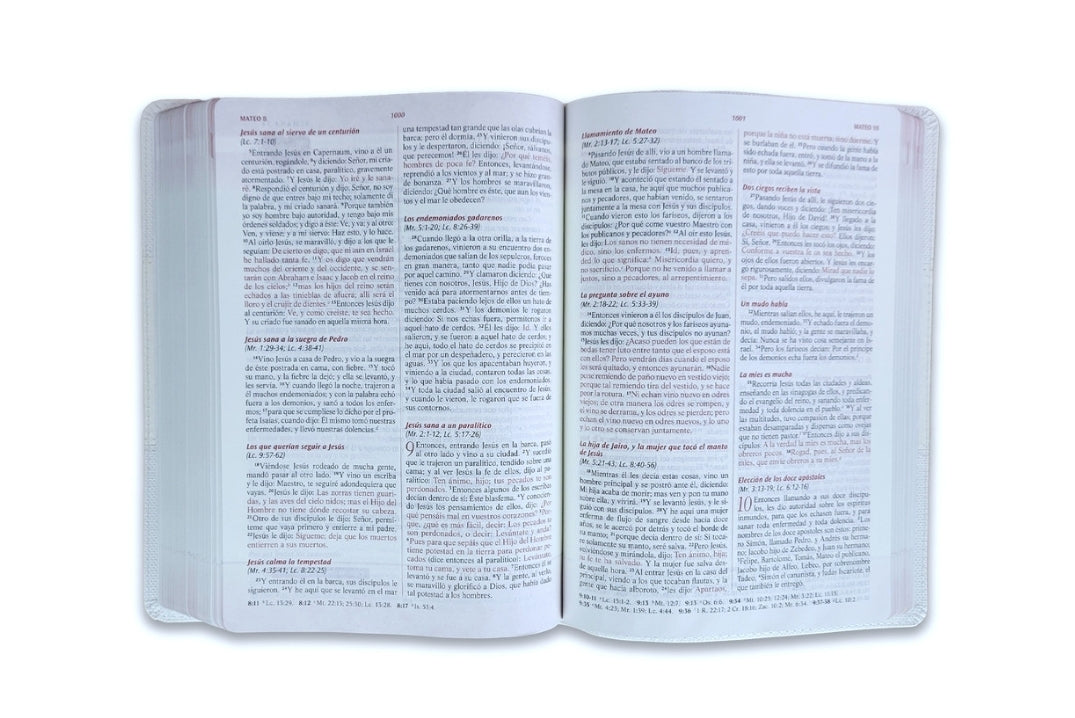 Biblia Devocional, Los Lenguajes del Amor RV1960, imit. piel, blanco