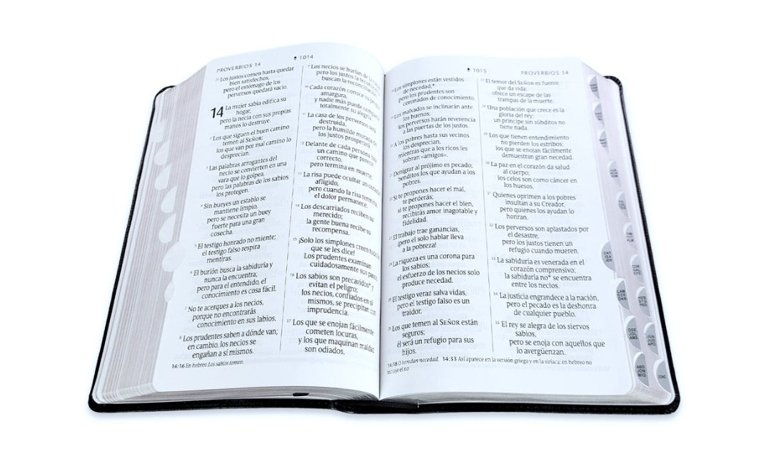 Biblia Letra Gigante Manual NTV, imit piel negro con índice