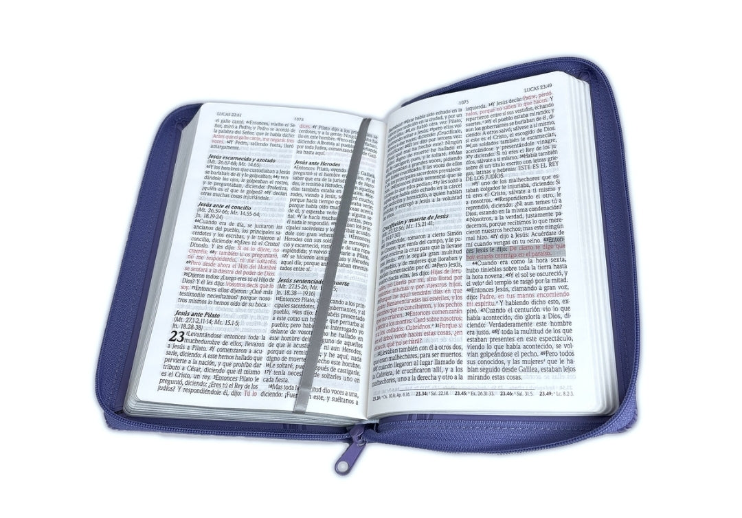 Biblia de Promesas con cierre Letra Grande RV1960 imit piel. manual lavanda