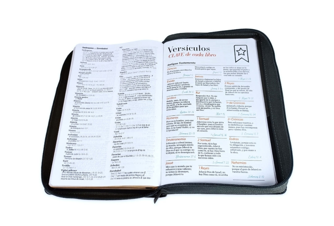 Biblia León con Cierre Letra Gigante Manual 14 puntos RV1960 imit piel negro con índice