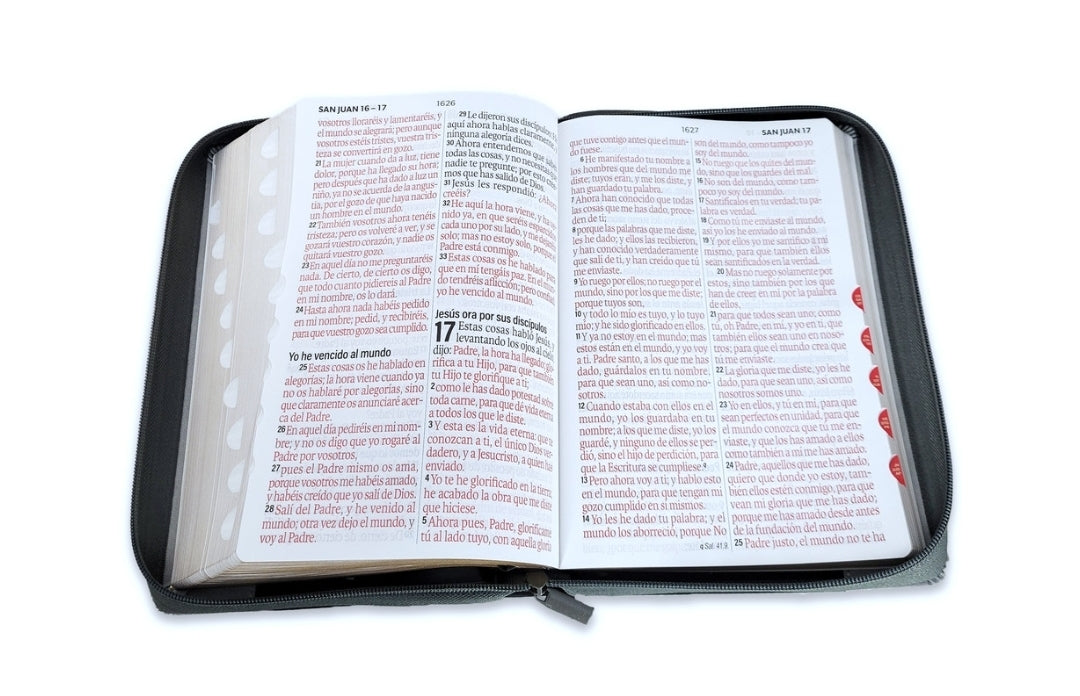 Biblia con Cierre Letra Súper Gigante 19 puntos Mediana RV1960 duotono león gris y negro con índice