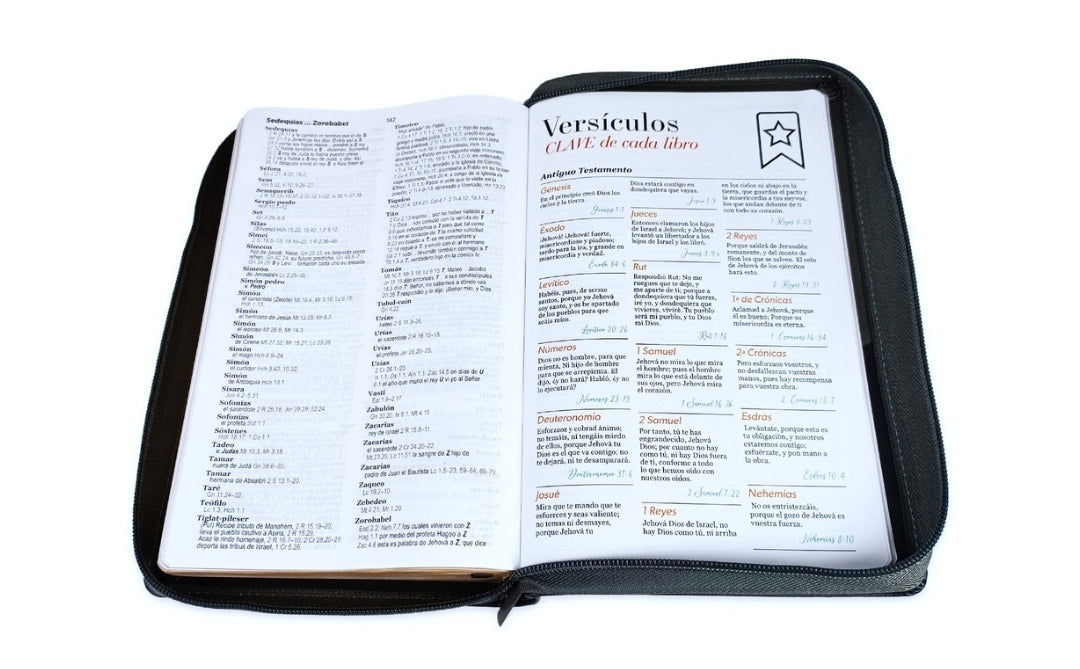Biblia León con Cierre Letra Gigante Manual 14 puntos RV1960 imit piel negro con índice