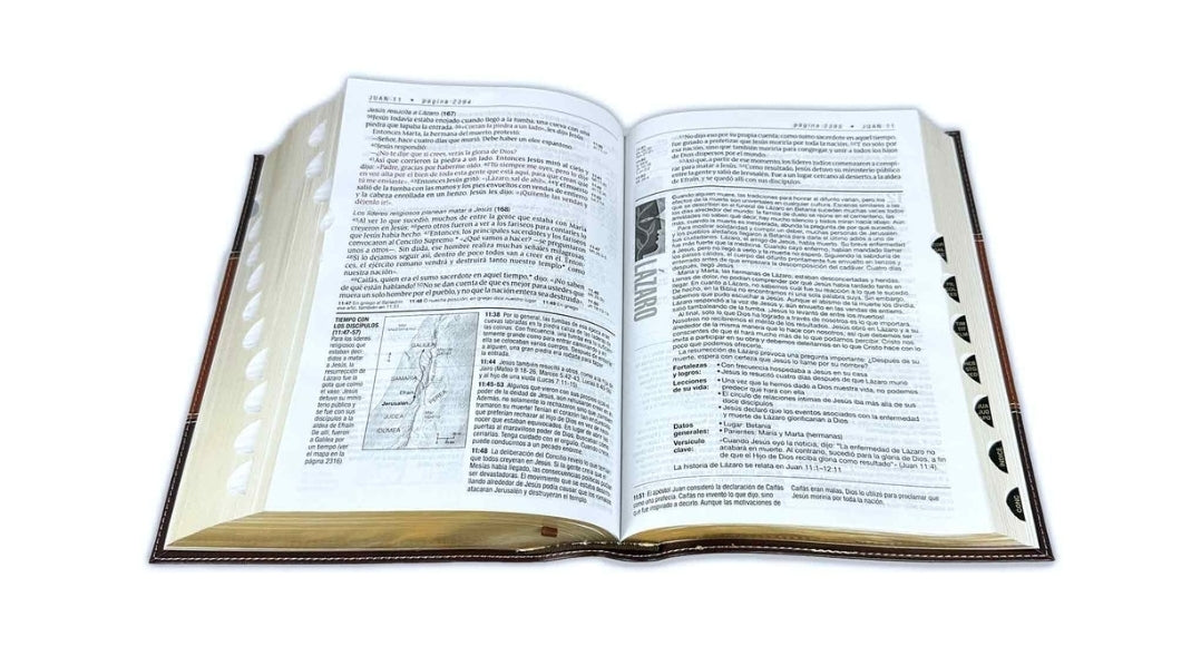 Biblia de Estudio del Diario Vivir Letra Grande Nueva Traducción Viviente NTV - sentipiel café con índice