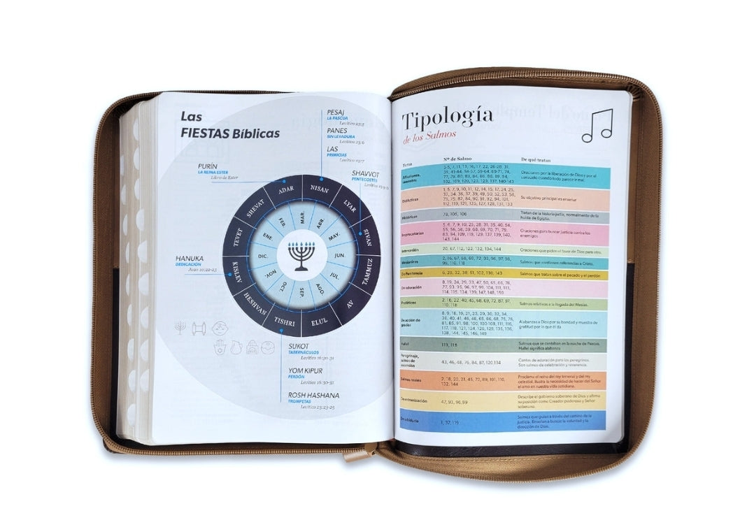 Biblia con Cierre Letra Gigante 15 puntos RV1960 imit piel café con índice