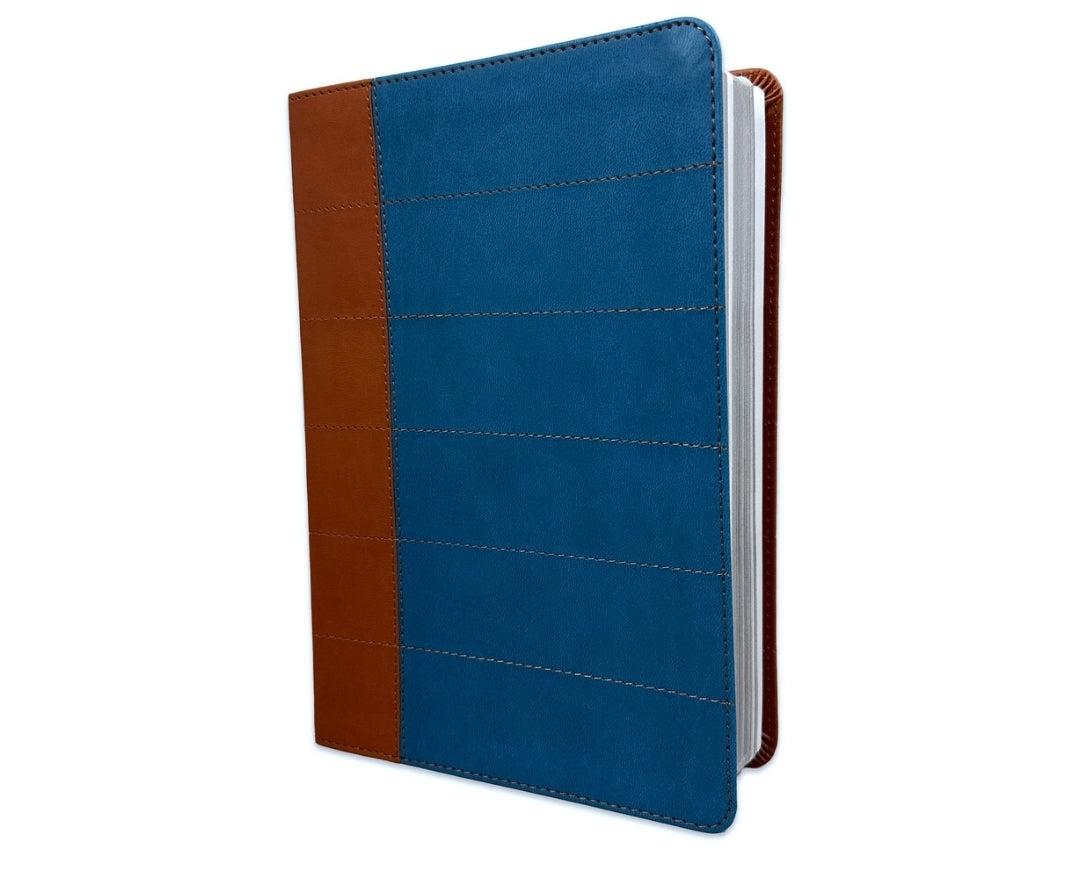 Biblia Thompson RV1960, Edición especial para el estudio bíblico, imit. piel, duotono, azul y marrón