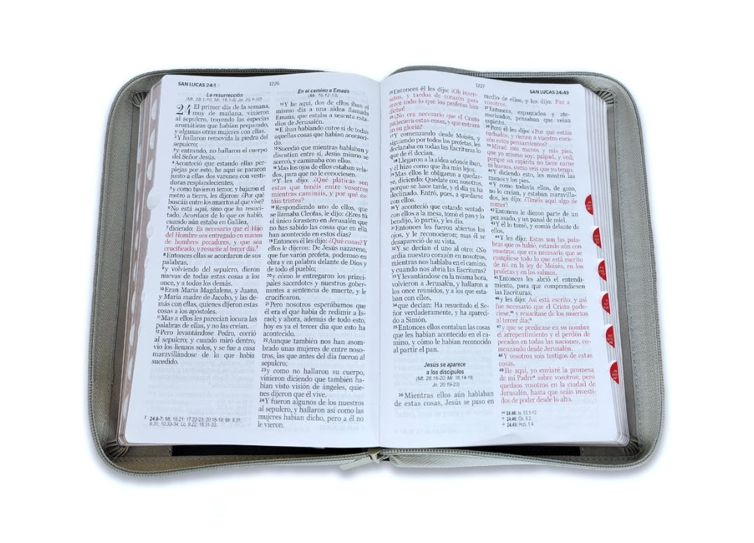 Biblia con Cierre Letra Grande 12 puntos RV1960 imit piel negro y gris león con índice