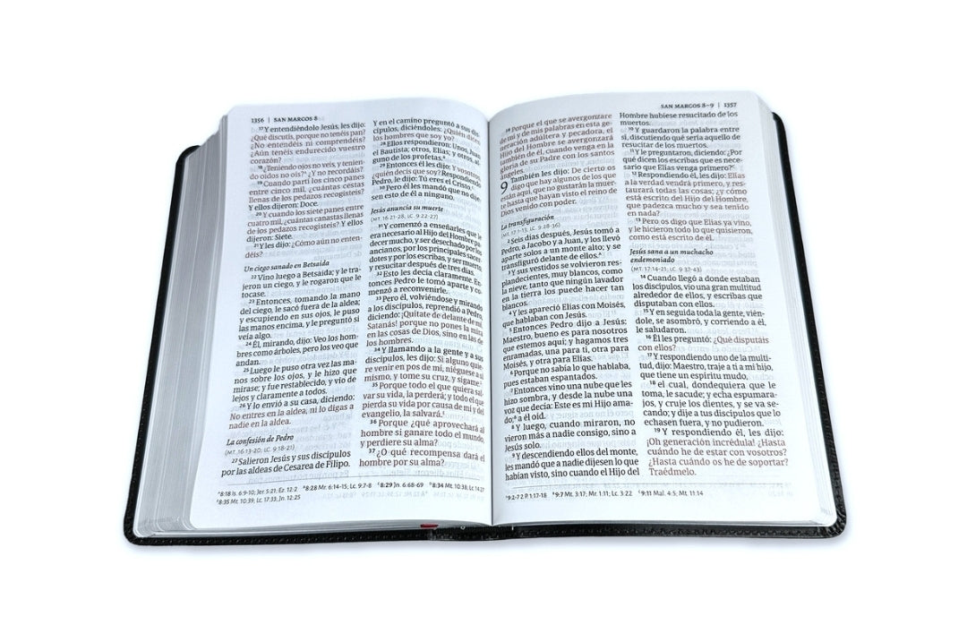 Biblia del Ministro Letra Grande RV1960 Ed. Ampliada con Manual del Ministro piel fabricada negro