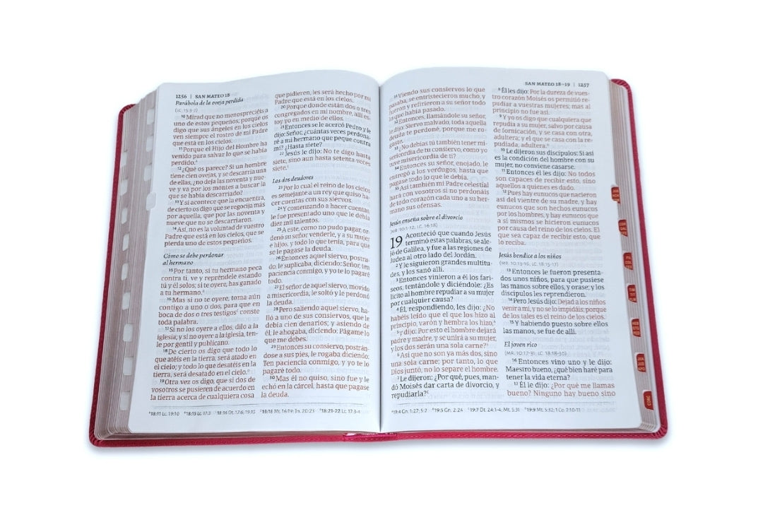 Biblia Letra Súper Gigante RV1960 imit. piel rosa floral con índice