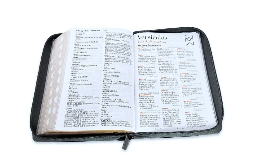 Biblia con Cierre Letra Súper Gigante 19 puntos Mediana RV1960 duotono león gris y negro con índice
