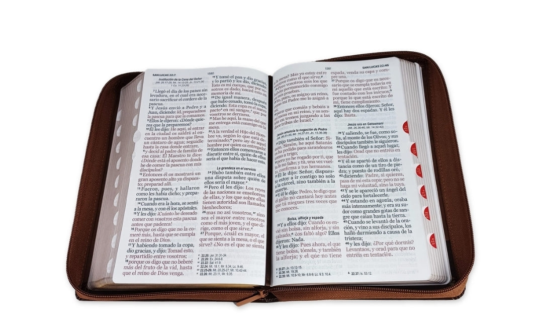 Biblia con Cierre Letra Gigante Manual 14 puntos RV1960 imit piel café con índice - Como el ciervo brama
