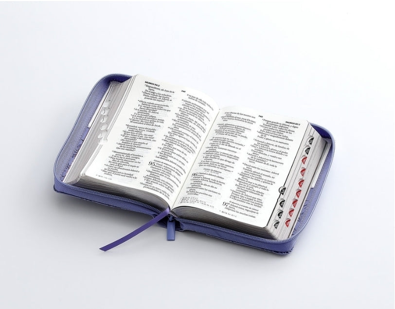 Biblia Quinceañera con Cierre y con Caja de Regalo RV1960 imit. piel lila con índice