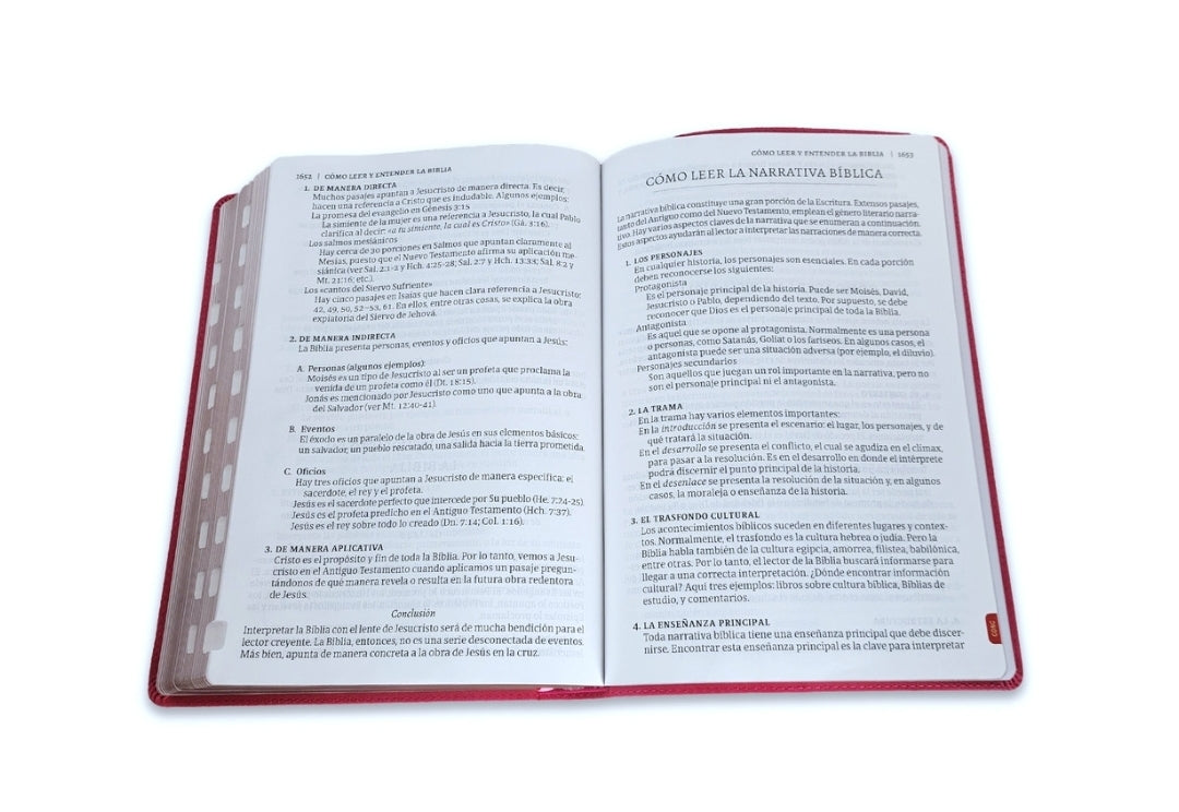 Biblia Letra Súper Gigante RV1960 imit. piel rosa floral con índice