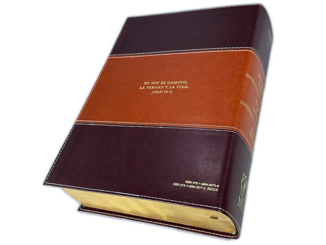 Biblia de Estudio del Diario Vivir Letra Grande Nueva Traducción Viviente NTV - sentipiel café con índice