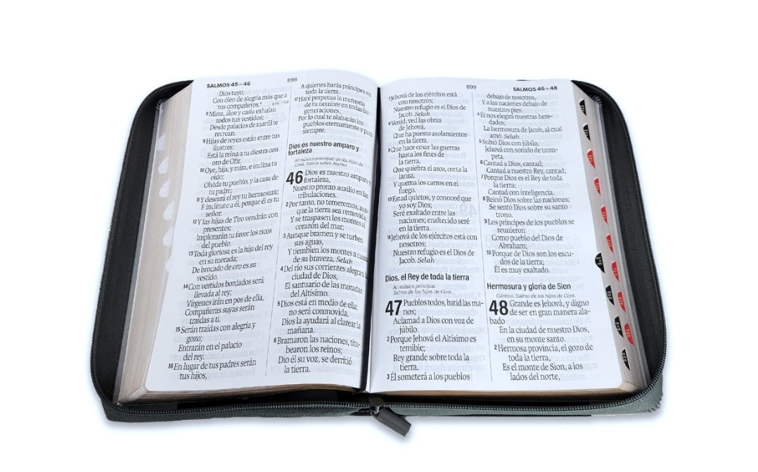 Biblia con Cierre Letra Súper Gigante 19 puntos Mediana RV1960 duotono león gris y negro con índice