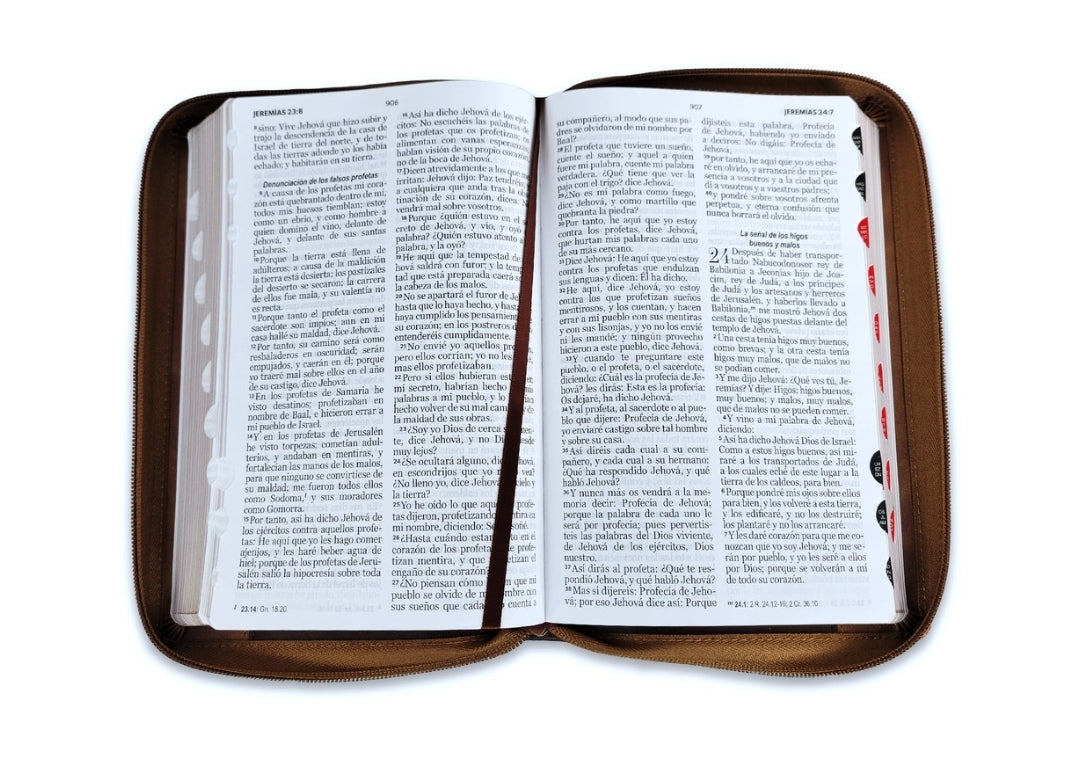Biblia con Cierre Letra Grande 12 puntos RV1960 imit piel café ichtus con índice