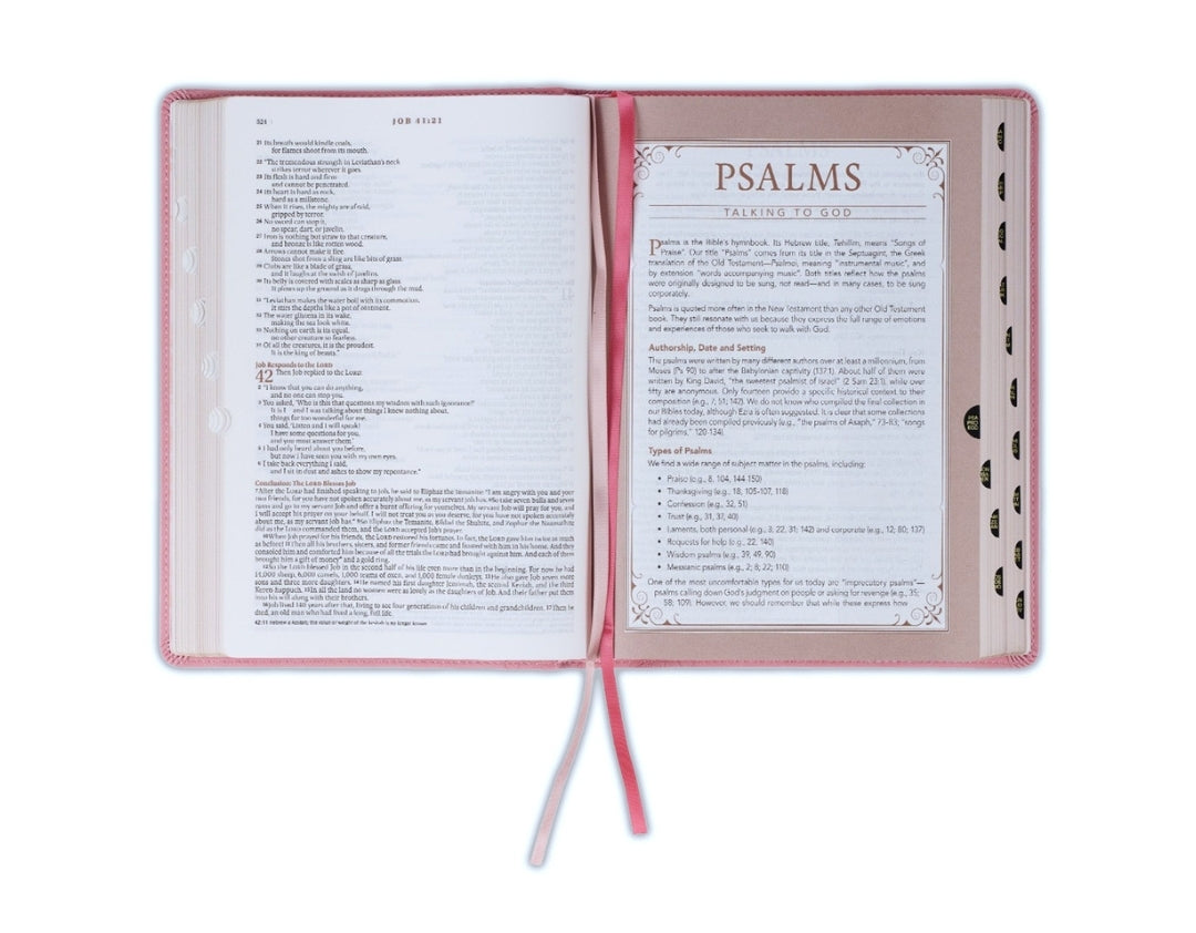 Biblia en Inglés NLT / The Spiritual Growth Bible NLT