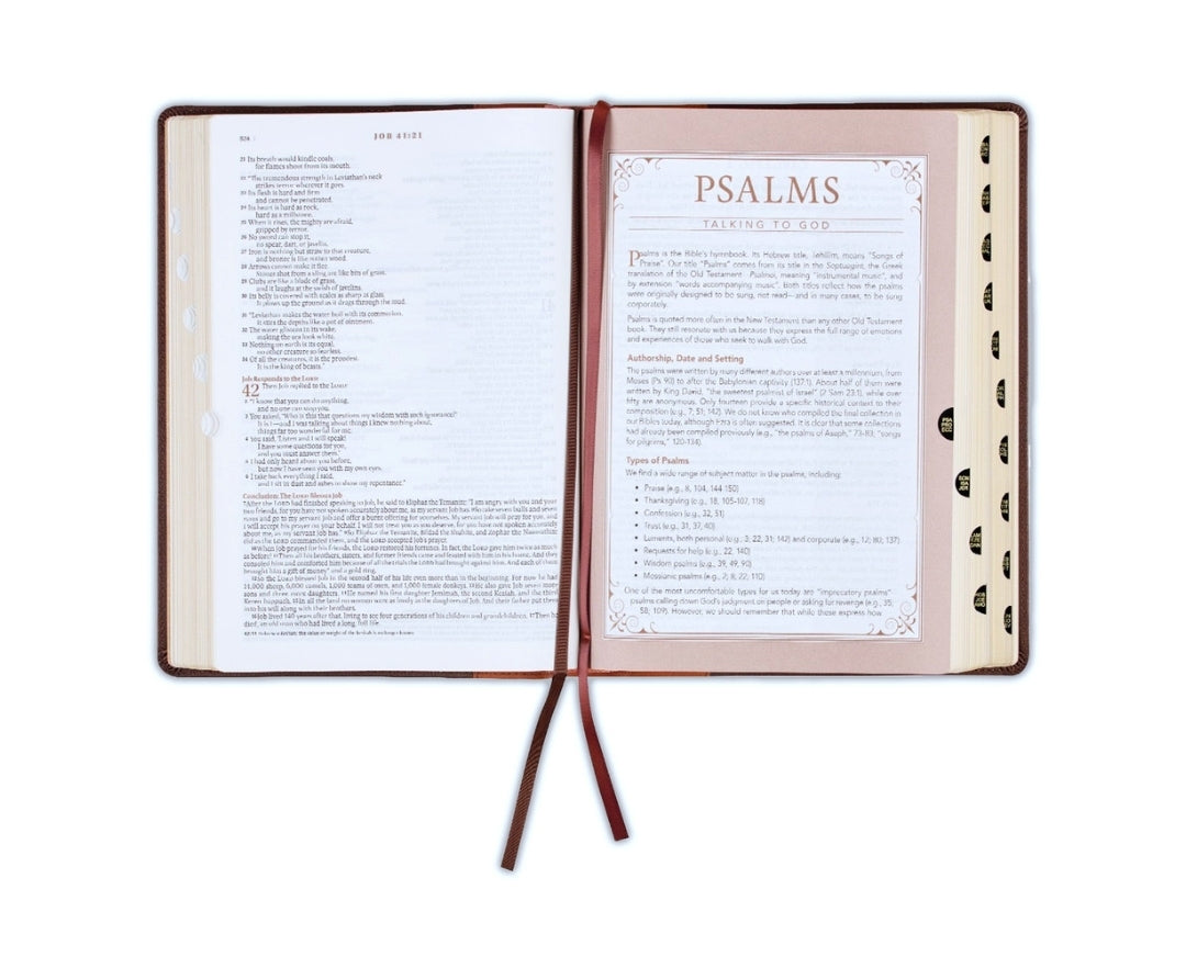 Biblia en inglés NLT / The Spiritual Growth Bible NLT