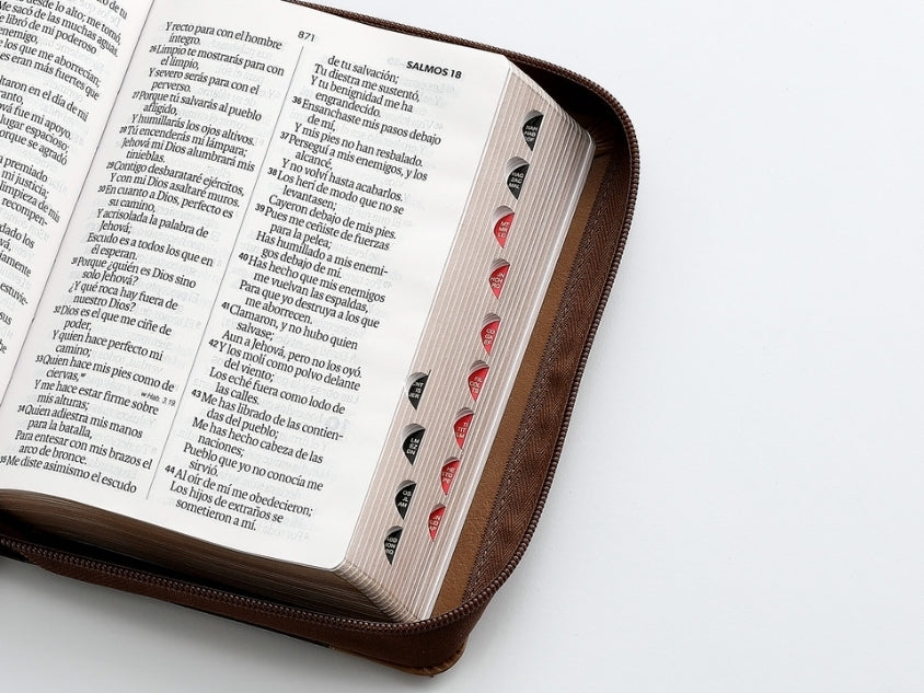 Biblia con Cierre Compacta 12 puntos RV1960, imit piel café águila con índice