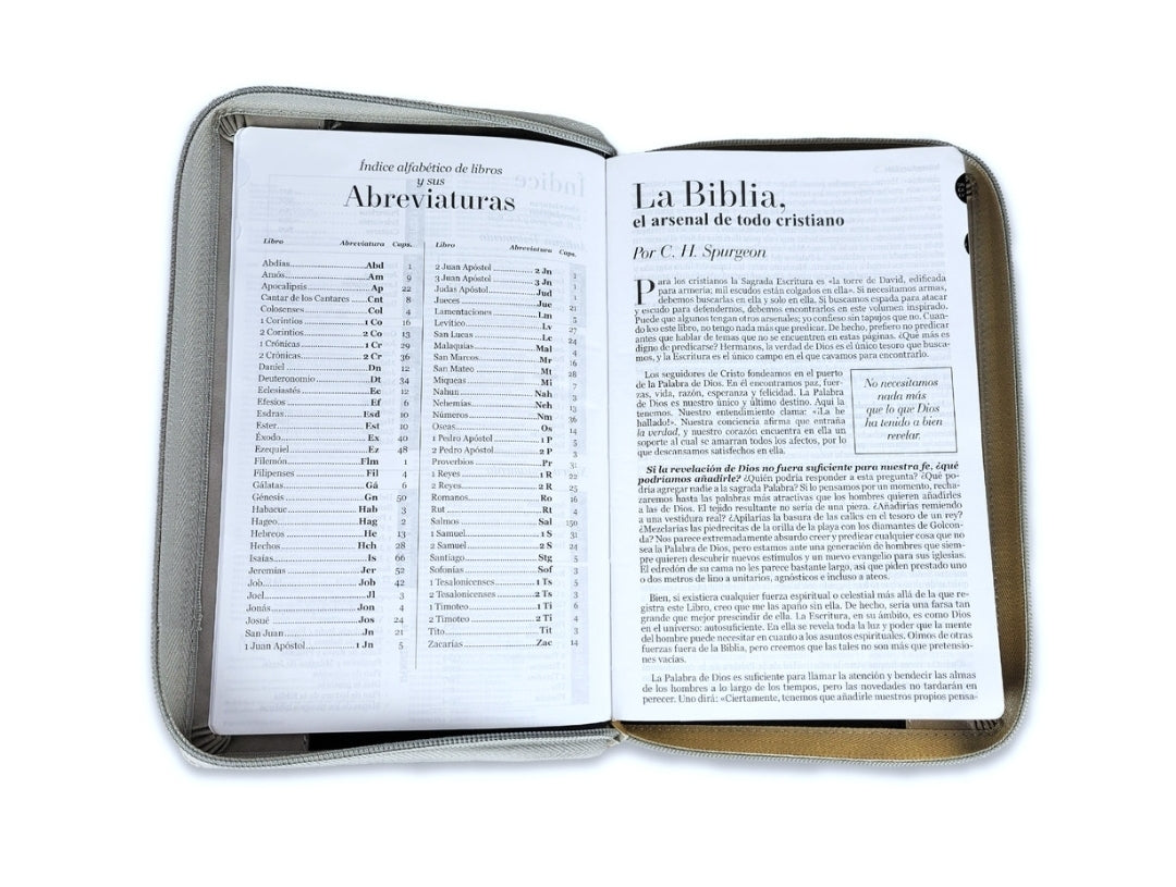 Biblia con Cierre Letra Grande 12 puntos RV1960 imit piel negro y gris león con índice