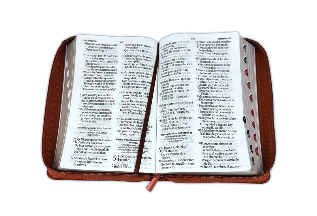 Biblia con Cierre Letra Gigante Manual 14 puntos RV1960 imit café con índice - Himno "Cuán grande es Él"
