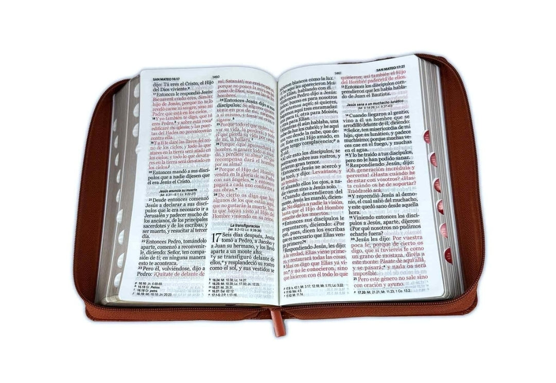 Biblia con Cierre Letra Gigante Manual 14 puntos RV1960 imit café con índice - Himno "Cuán grande es Él"