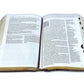 Biblia de Estudio del Diario Vivir Letra Grande Nueva Traducción Viviente NTV - sentipiel café con índice