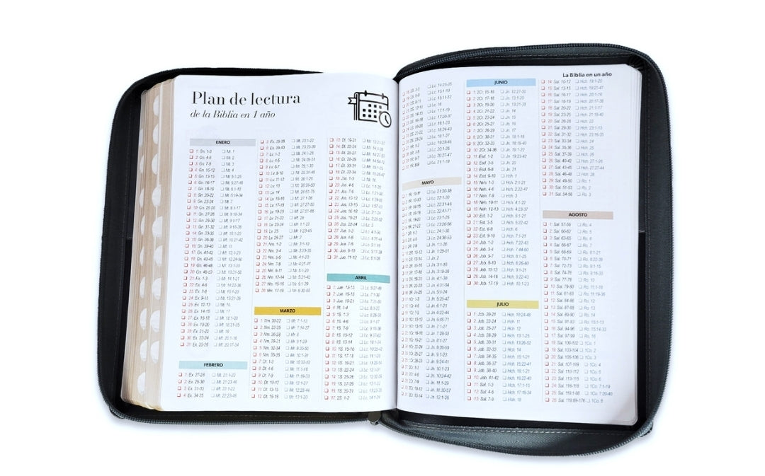 Biblia con Cierre Letra Gigante 15 puntos RV1960 imit piel negro y gris león con índice