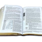 Biblia de Estudio del Diario Vivir Letra Grande Nueva Traducción Viviente NTV - sentipiel café con índice