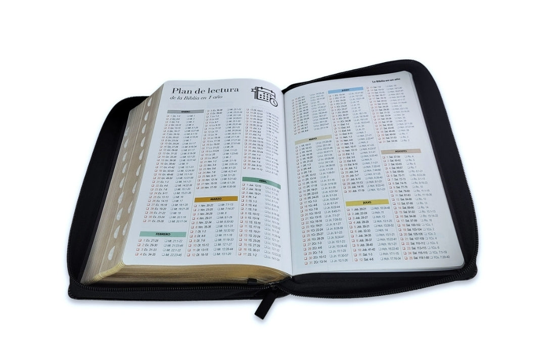 Biblia con Cierre Letra Grande 12 puntos RV1960 imit piel negro cordero y león con índice