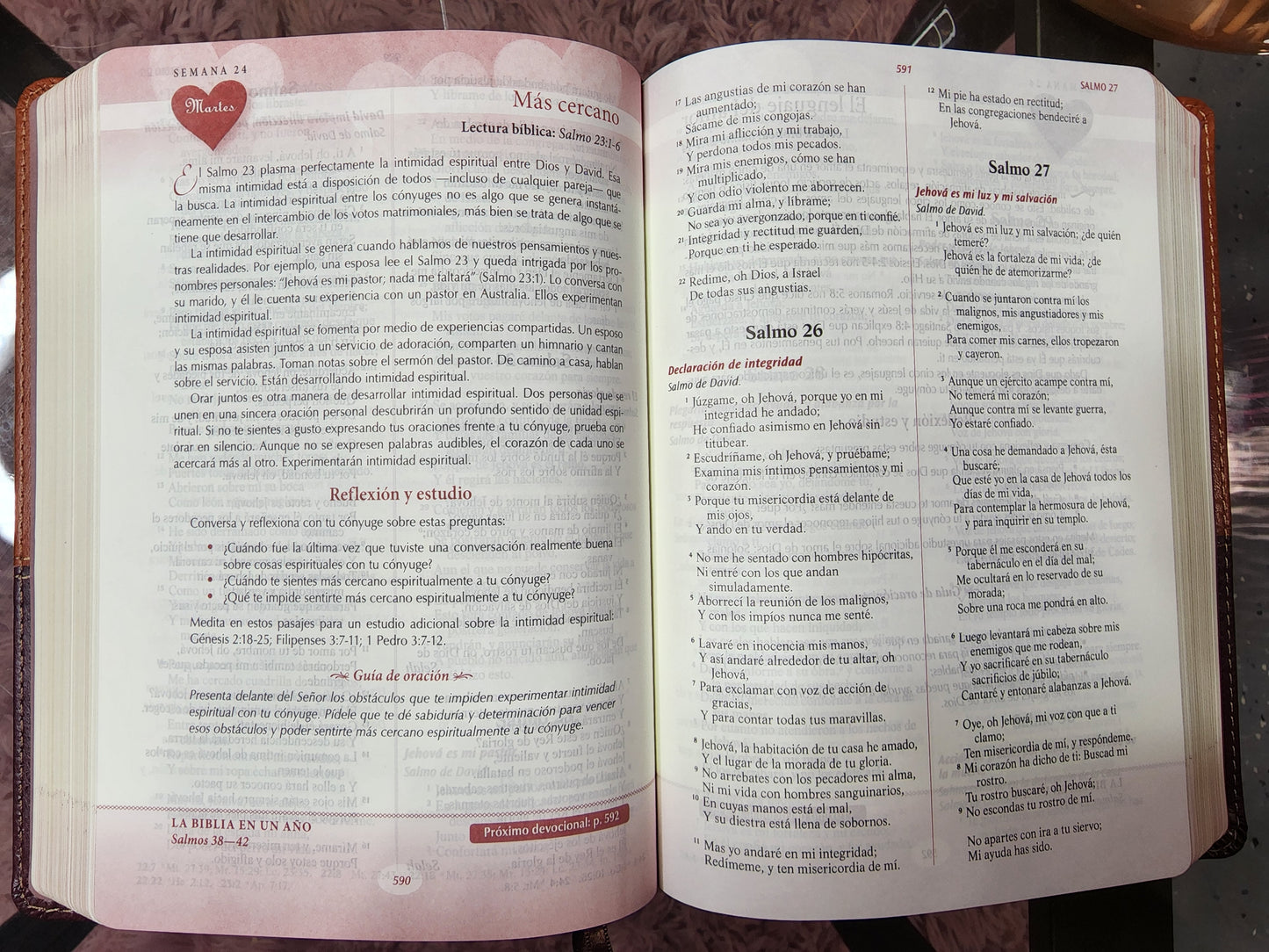 Biblia Devocional Los Lenguajes del amor RV1960, piel duotono café