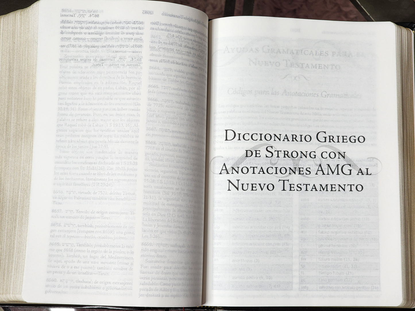 Biblia de Estudio Palabra Clave RV1960, piel negra