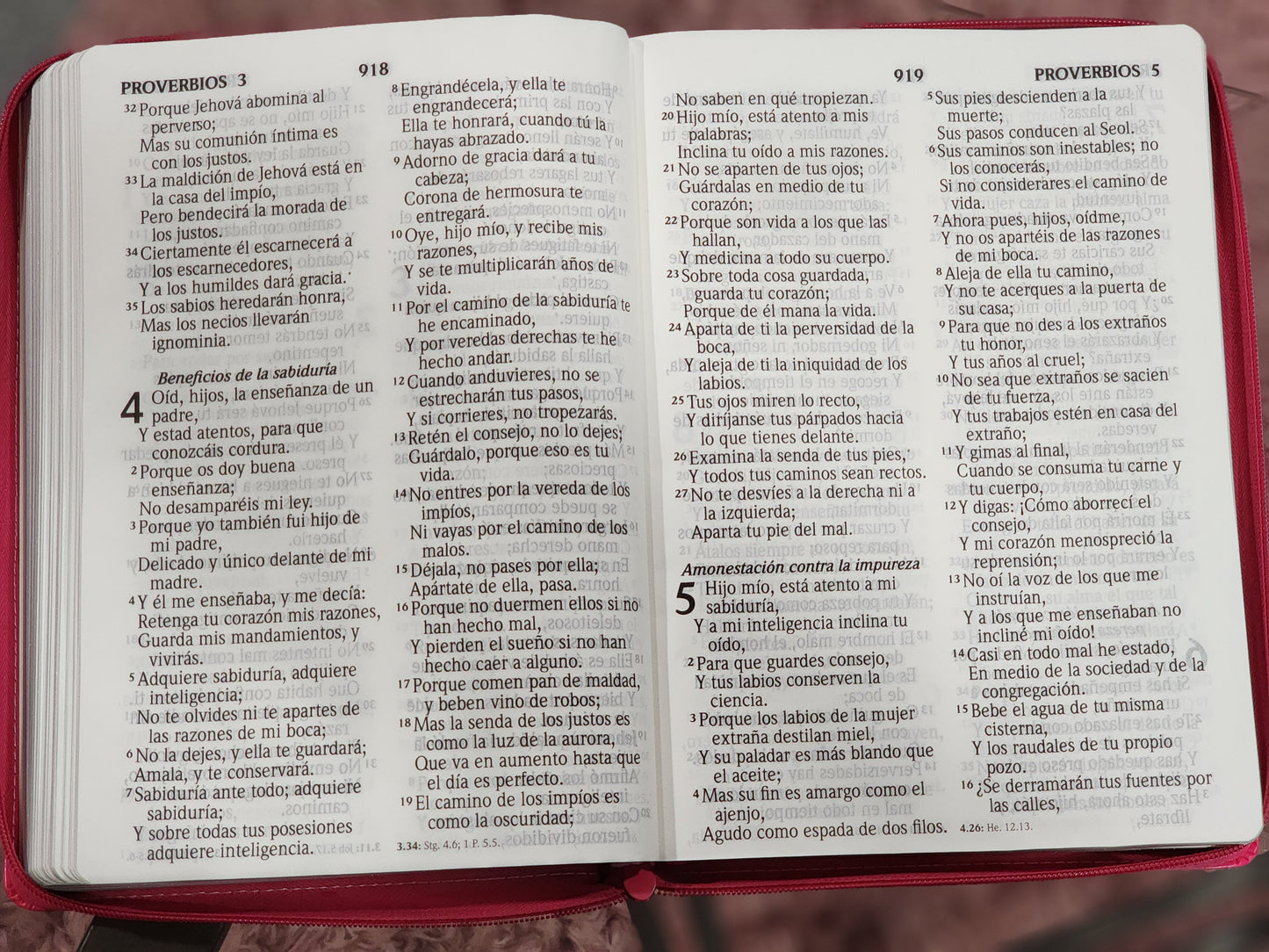 Biblia RV1960 Letra Super Gigante, piel duo tono fucsia-rosa.