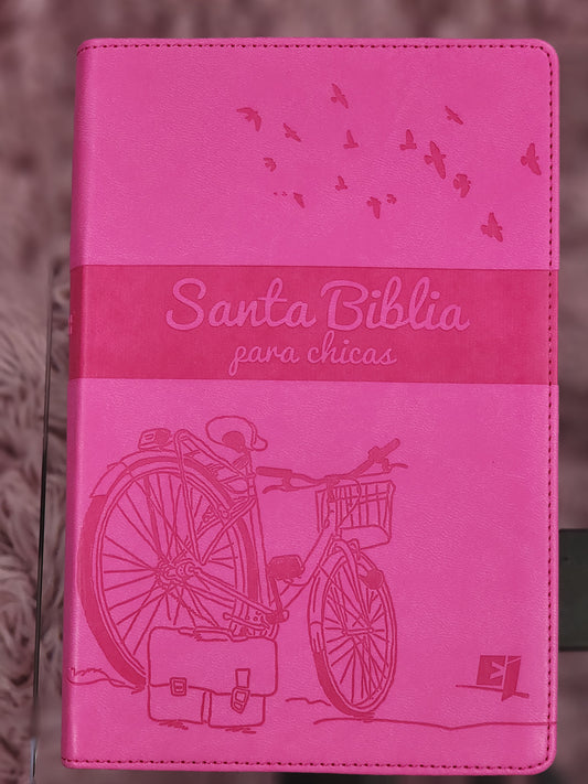 Biblia NVI para chicas, Letra Chica, piel fucsia