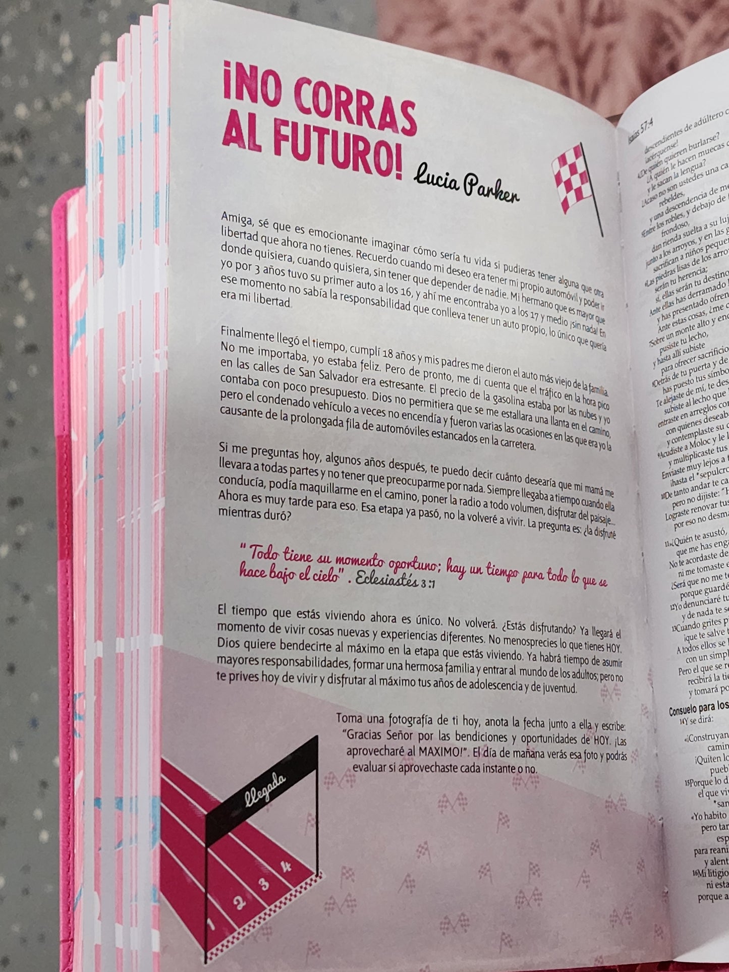 Biblia NVI para chicas, Letra Chica, piel fucsia