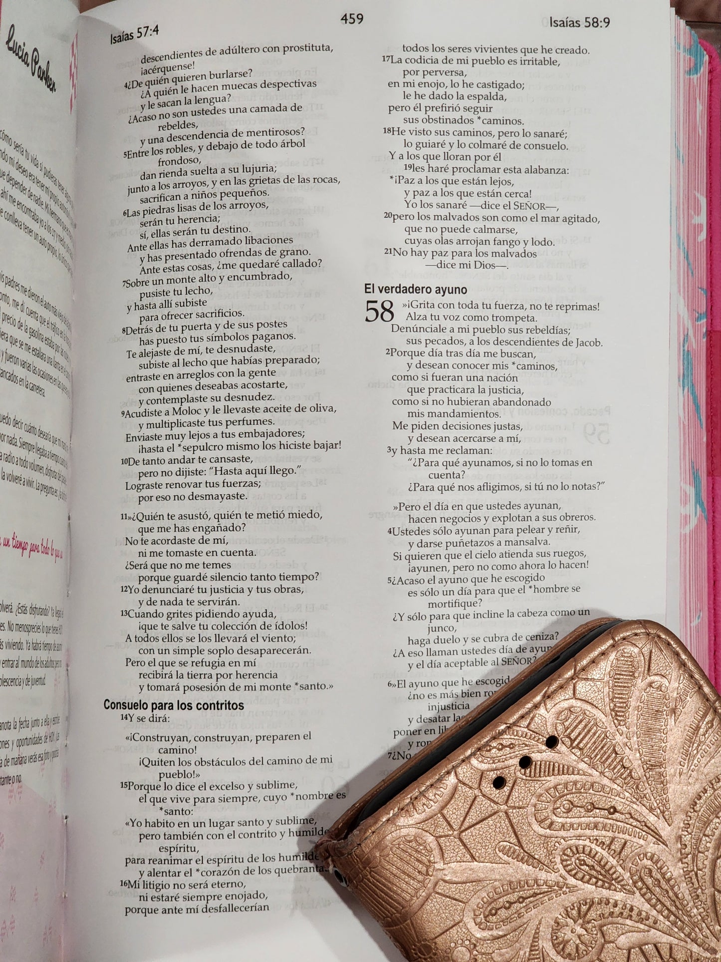 Biblia NVI para chicas, Letra Chica, piel fucsia