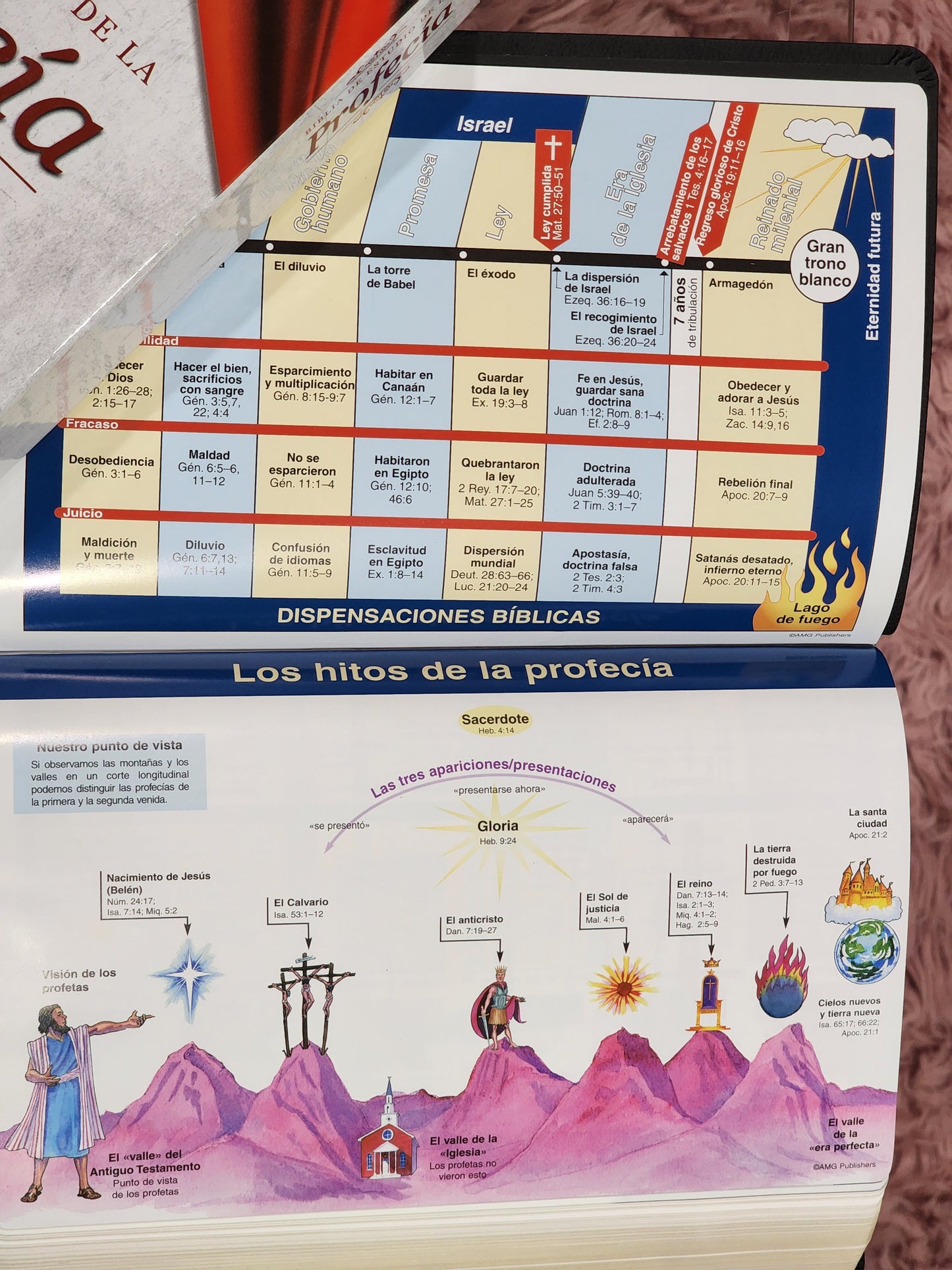 Biblia de Estudio de la Profecía, piel café