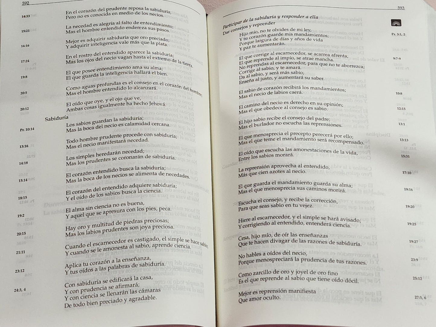 Biblia RV1960 Letra Grande, en Orden Cronológico, duotono marrón y negro