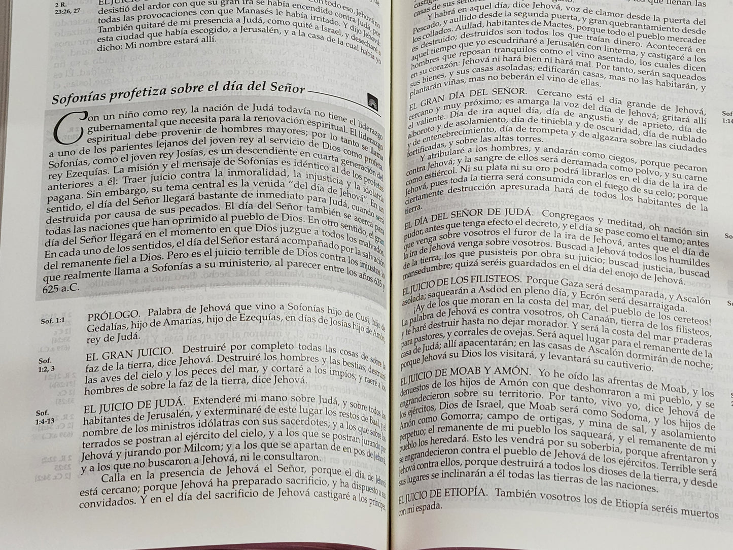 Biblia RV1960 Letra Grande, en Orden Cronológico, duotono marrón y negro