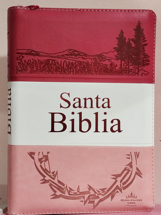 Biblia RV1960 Letra Grande, con cierre e índice, piel rosa