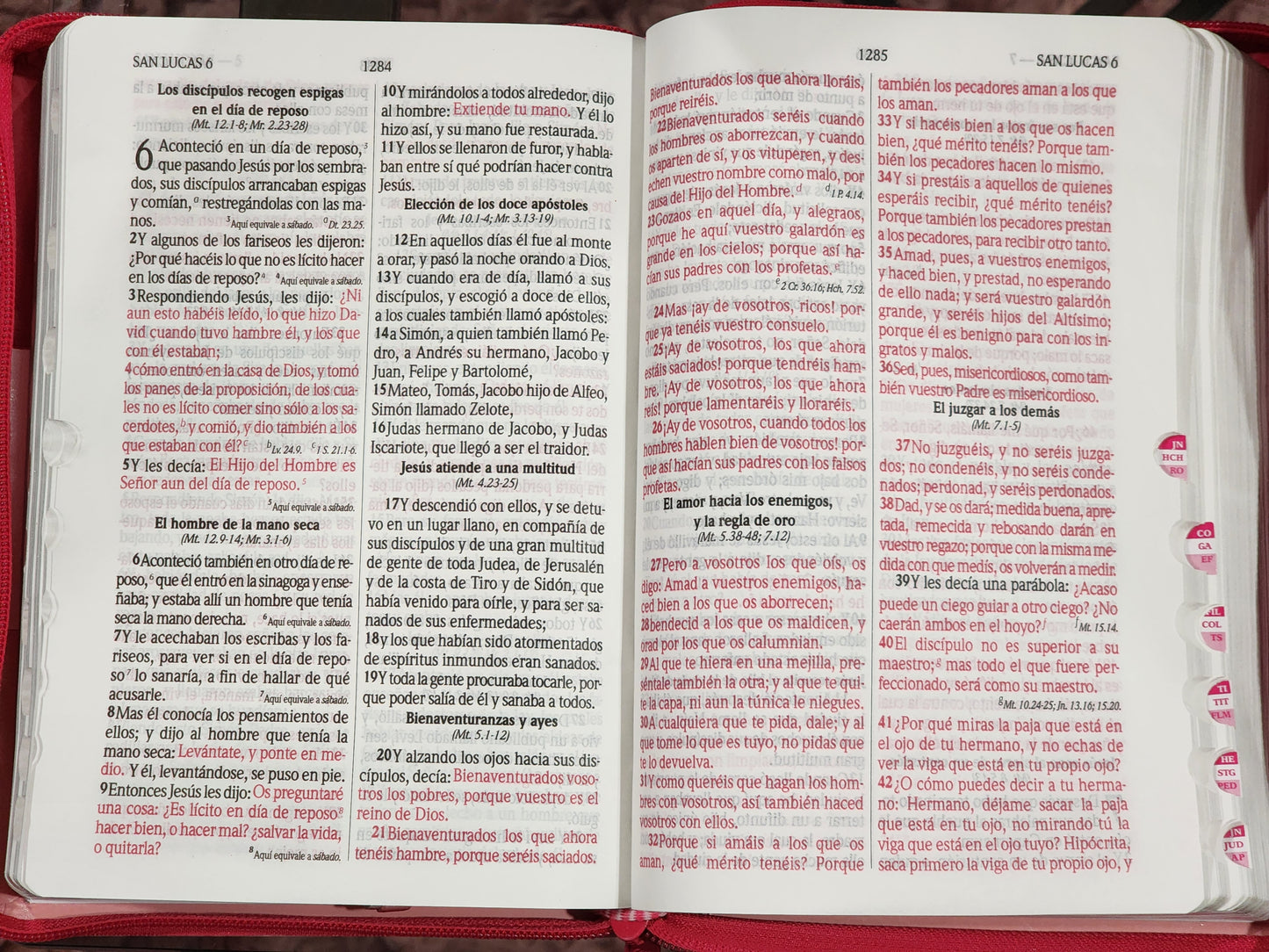 Biblia RV1960 Letra Grande, con cierre e índice, piel rosa