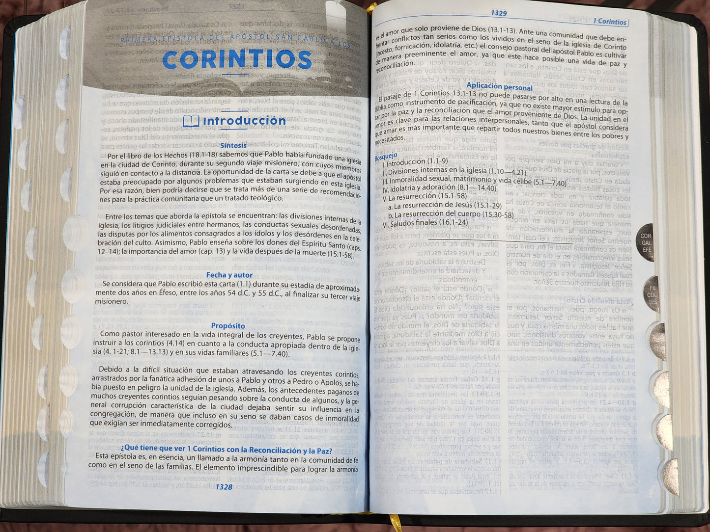 Biblia de Estudio RV1960 Letra Grande, Llamados a la Reconciliación, con índice, piel negro