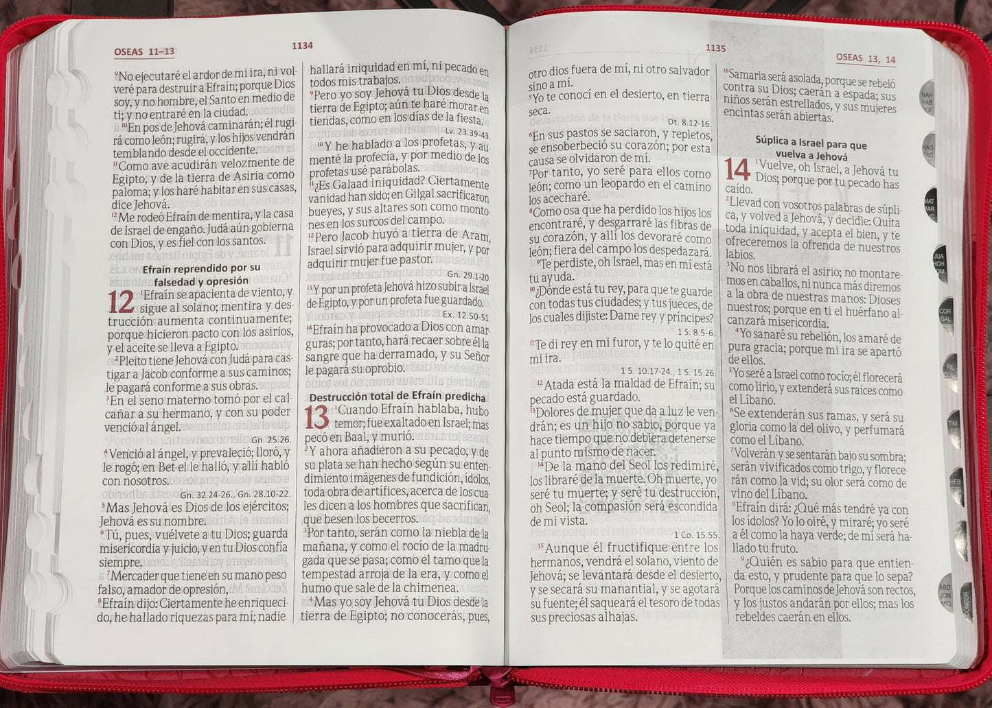 Biblia RV1960 Letra Gigante, con cierre e índice, piel duotono fucsia y rosa