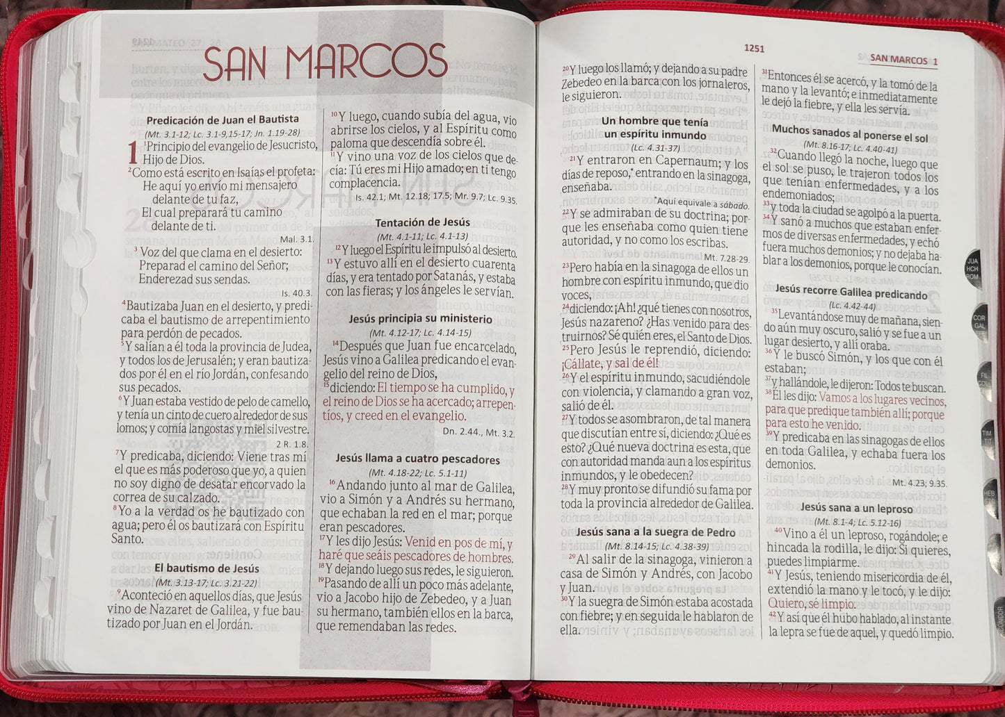 Biblia RV1960 Letra Gigante, con cierre e índice, piel duotono fucsia y rosa