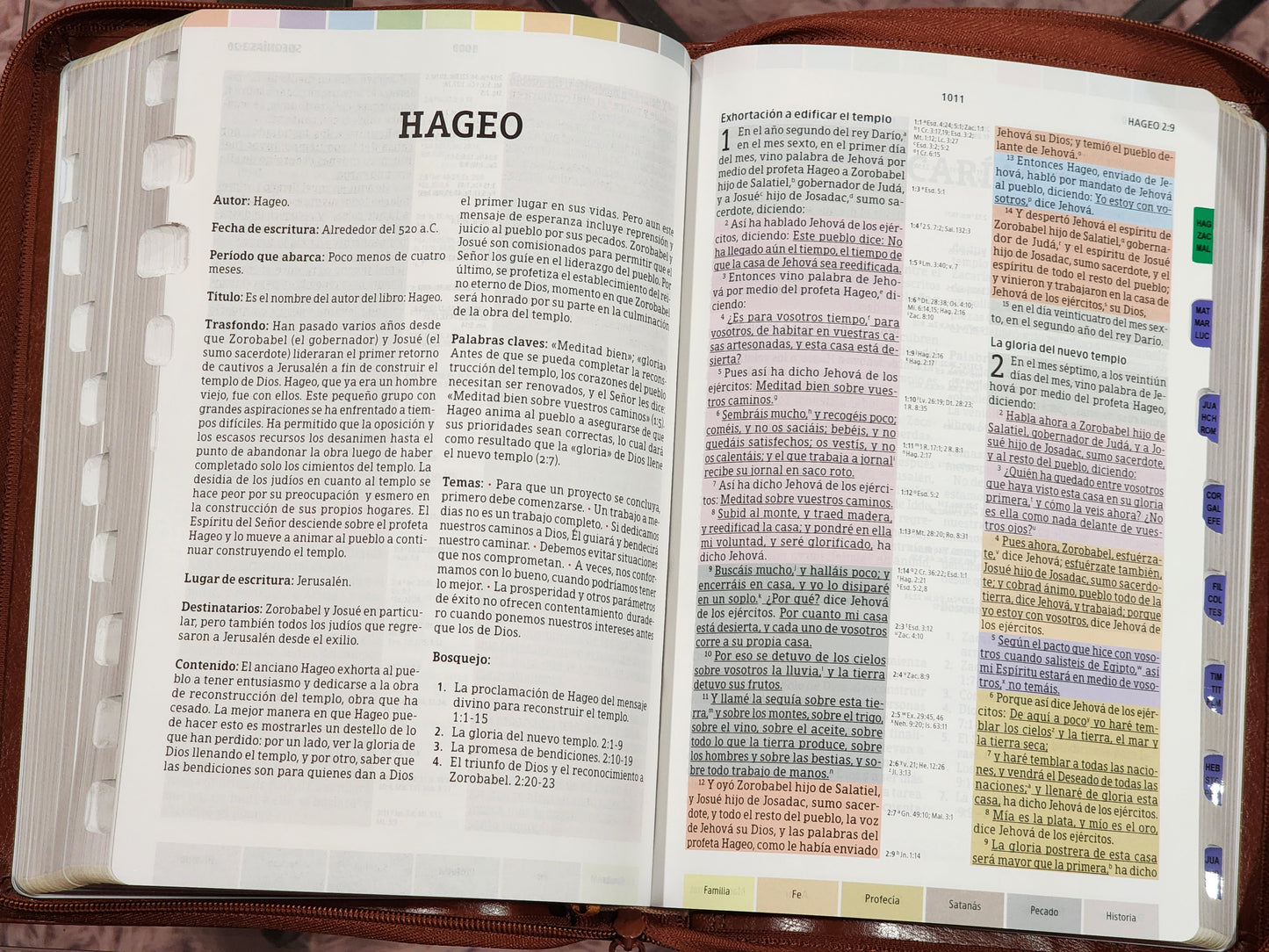 Biblia de Estudio RV1960 Arcoiris, Letra Grande, con cierre e índice y lente de aumento. Piel café.