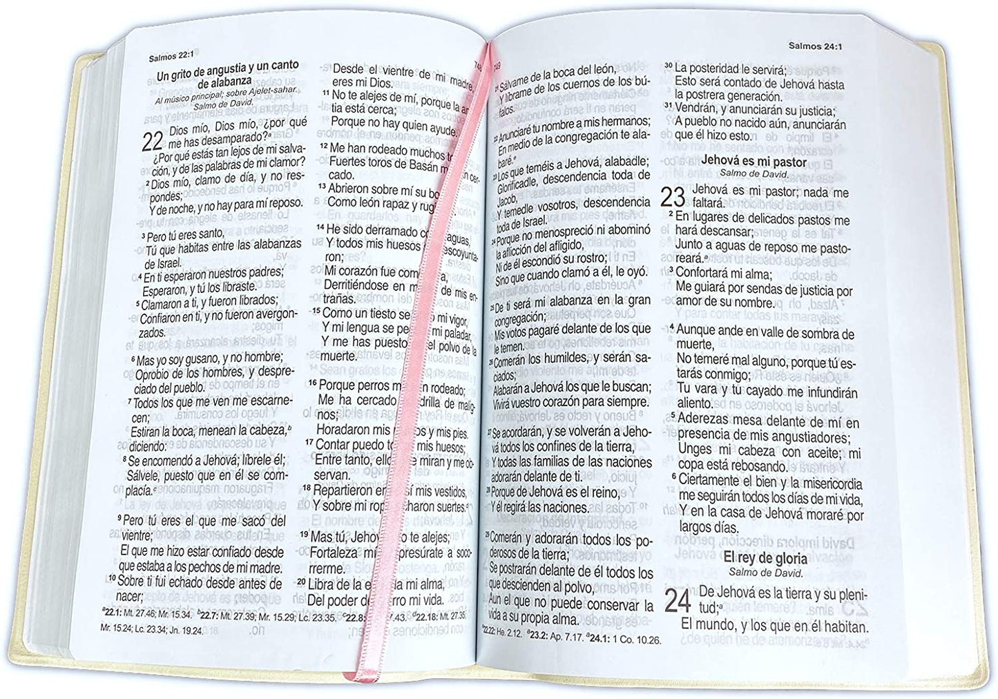 Biblia RV1960 Letra Grande, "Inspiración Mujer", Vinil con diseño floral