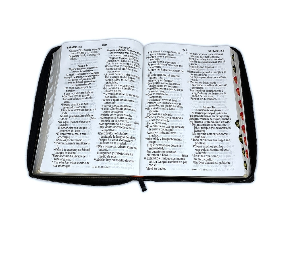 Biblia RV1960 Letra Super Gigante con cierre e índice, duotono negro-café - En la Ley de Jehová